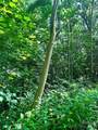 75 Fork Creek Road - Photo 19