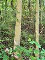75 Fork Creek Road - Photo 23