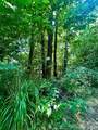 75 Fork Creek Road - Photo 24