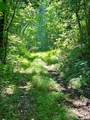75 Fork Creek Road - Photo 5