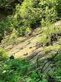 75 Fork Creek Road - Photo 7