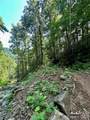 75 Fork Creek Road - Photo 8