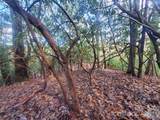 TBD Skye Drive - Photo 7