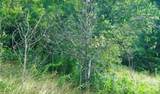 00 Split Pine Cove - Photo 3