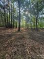 11219 Johnson Davis Road - Photo 10
