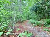 Lot 23 Bear Track Lane - Photo 13