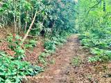 Lot 23 Bear Track Lane - Photo 14