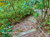 Lot 23 Bear Track Lane - Photo 15