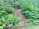 Lot 23 Bear Track Lane - Photo 16