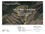 Lot 23 Bear Track Lane - Photo 3