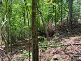 Lot 23 Bear Track Lane - Photo 7
