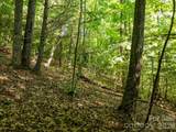 59 Old Greybeard Loop - Photo 12