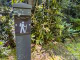 59 Old Greybeard Loop - Photo 15