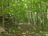 52 Big View Drive - Photo 7