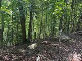Lot 13 Crab Apple Court - Photo 3