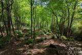 Lot 114R Toxaway Drive - Photo 12