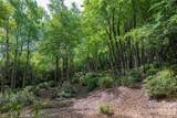 Lot 114R Toxaway Drive - Photo 7