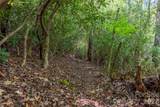 TBD Long Ridge Road - Photo 3