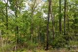 00 Deer Park Lake Road - Photo 4