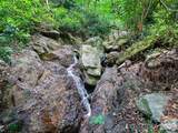 000 Ogles Gap Road - Photo 3