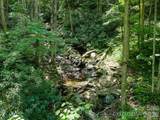 000 Ogles Gap Road - Photo 28