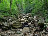 000 Ogles Gap Road - Photo 29