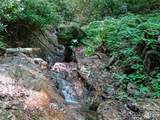 000 Ogles Gap Road - Photo 4