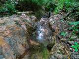 000 Ogles Gap Road - Photo 5