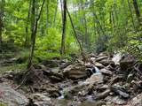 000 Ogles Gap Road - Photo 41