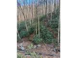 000 Ogles Gap Road - Photo 43