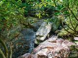 000 Ogles Gap Road - Photo 6