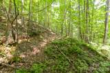 ### Board Tree Road - Photo 12