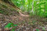 ### Board Tree Road - Photo 13