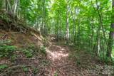 ### Board Tree Road - Photo 14