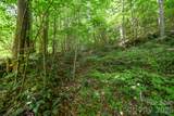 ### Board Tree Road - Photo 6