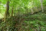 ### Board Tree Road - Photo 7