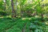 ### Board Tree Road - Photo 1