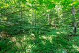 ### Board Tree Road - Photo 6