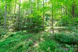 ### Board Tree Road - Photo 7