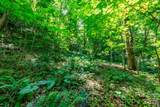 ### Board Tree Road - Photo 9