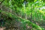 ### Board Tree Road - Photo 7