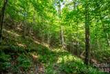 ### Board Tree Road - Photo 8