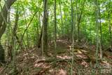 ### Board Tree Road - Photo 9