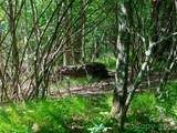 0 Ogle Meadows Road - Photo 12