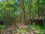 0 Ogle Meadows Road - Photo 13