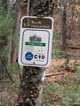 TBD Blue Rock Road - Photo 47