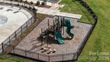 10105 Dancing Crane Way - Photo 38