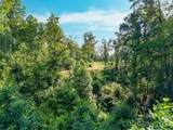 443 Polk County Line Road - Photo 9