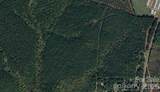 2939 Nc Hwy 134 Highway - Photo 1