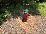 2006 Piedmont Road - Photo 13